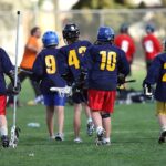 lacrosse-1501851_1280